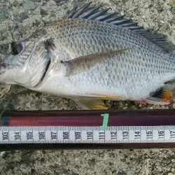 『釣りデビュー(^^)』203