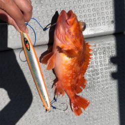 経ヶ岬沖中深海のジギング