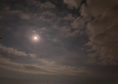 素人のチニング