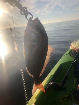 カヤックフィッシング