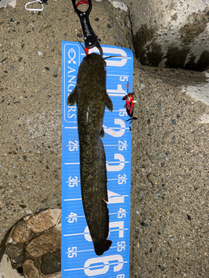 夕方から夜にかけてランガン