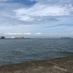 チョイ投げキス釣り