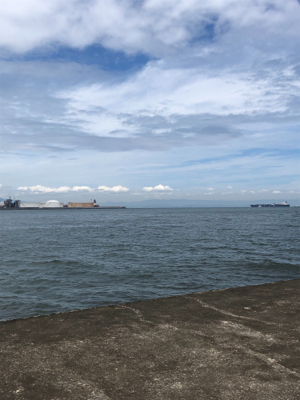 チョイ投げキス釣り