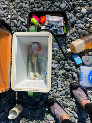 弓角釣果出ました