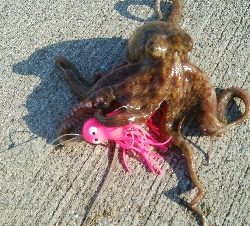 『釣りデビュー(^-^*)』205