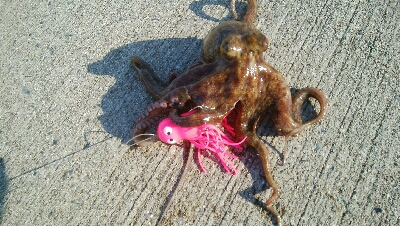 『釣りデビュー(^-^*)』205