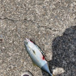 久しぶりのあの感触