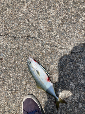 久しぶりのあの感触