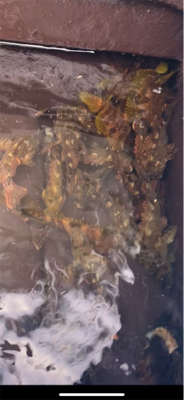 ベイトがいないので根魚釣り