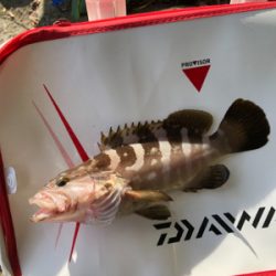 河口でエビ撒き釣り