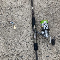 ヤマトカマスとエソ