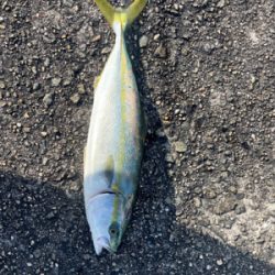 久しぶりの釣り