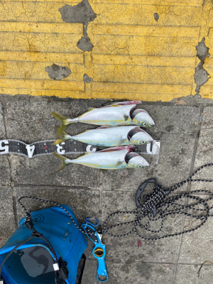 目標はブリ‼️…