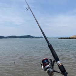 久しぶりのキス釣り