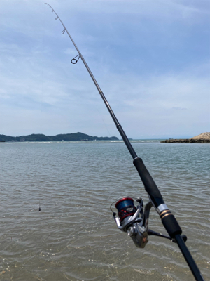 久しぶりのキス釣り