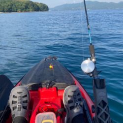 カヤックでトップチヌ