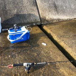 久々の探り釣りに行きました。