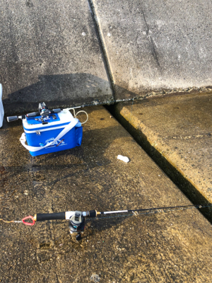 久々の探り釣りに行きました。