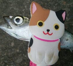 『釣りデビュー(*^-^*)』208