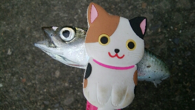 『釣りデビュー(*^-^*)』208