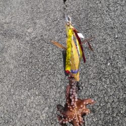 ダイソーエギ改