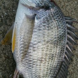 『釣りデビュー(^.^)』209