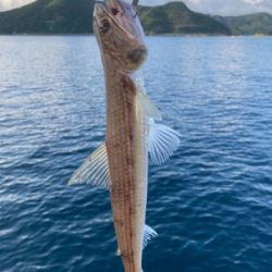 ショアタイラバ