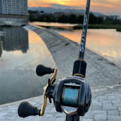 夕まづめにナマズゲーム