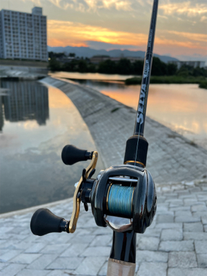 夕まづめにナマズゲーム