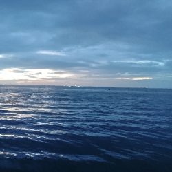 そろそろマゴチ以外釣りたい(贅沢笑)