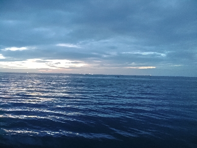 そろそろマゴチ以外釣りたい(贅沢笑)