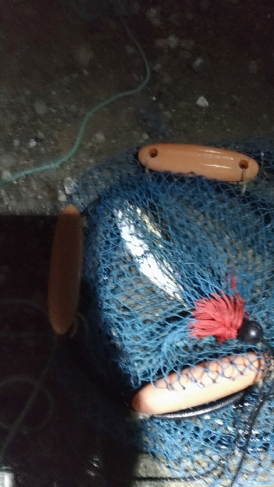 7/18釣果 紀州釣り