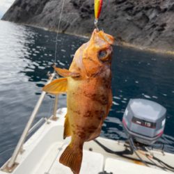 ウミックさんにてSLJ