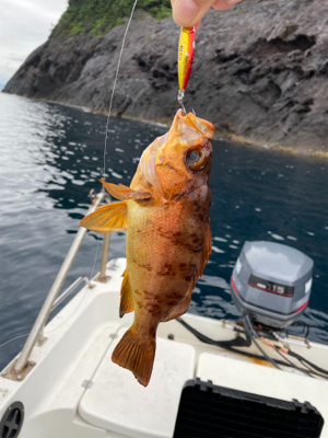 ウミックさんにてSLJ