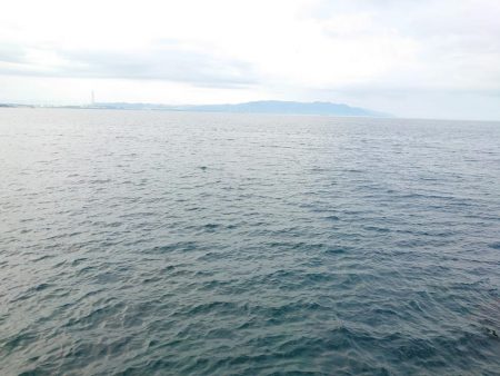 久しぶりに満足した釣果