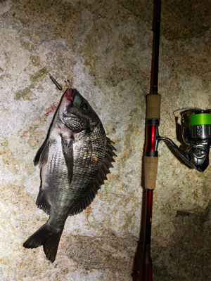 いつまでたってもチニング は難しい