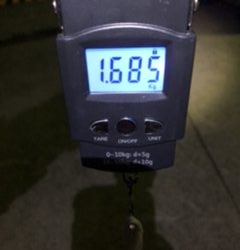 連日のキロアップ