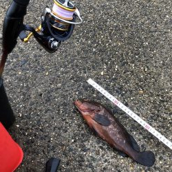 まさかの大物ゲスト