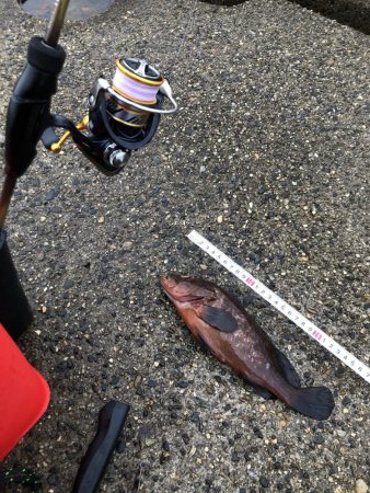 まさかの大物ゲスト