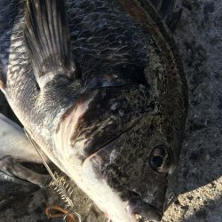 ビギナーズラック？