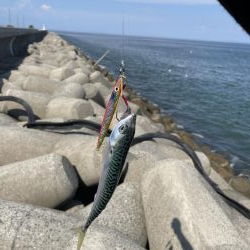 ショアジギング