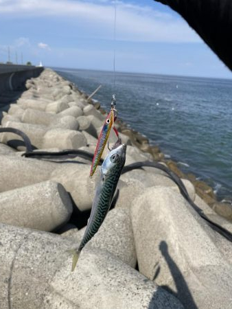 ショアジギング