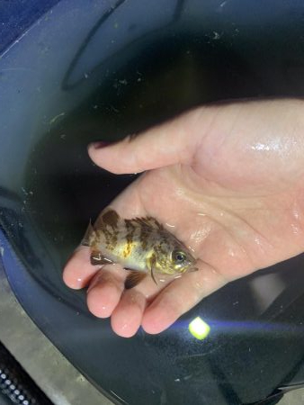 濁りは最高の…