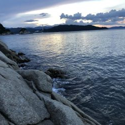 ふらットフィッシュ