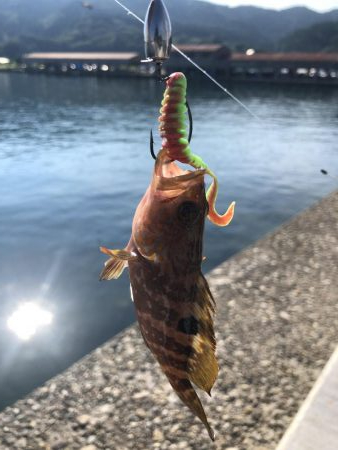 東港　釣行