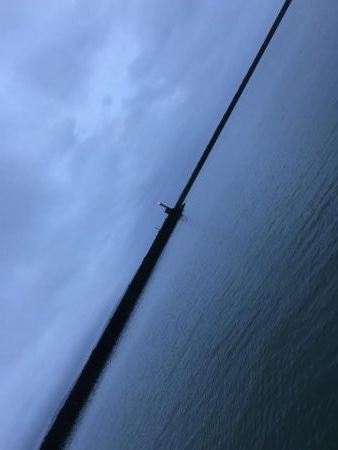 癒しのガッシー新P