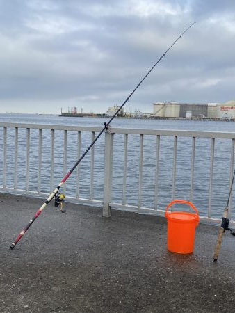 台風後の釣果