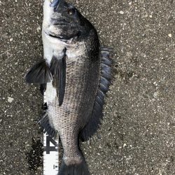 イチノ兄弟、釣果!