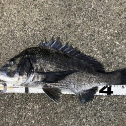 イチノ兄弟、釣果！