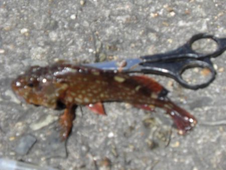 潮が動いてない